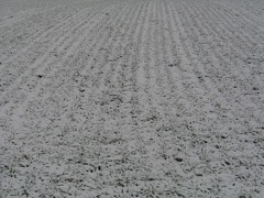 Ackerfeld unter Schnee 03; 9298